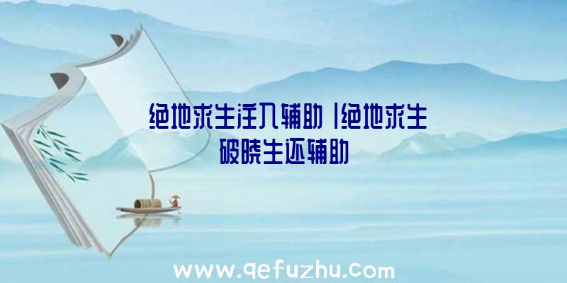 「绝地求生注入辅助」|绝地求生破晓生还辅助
